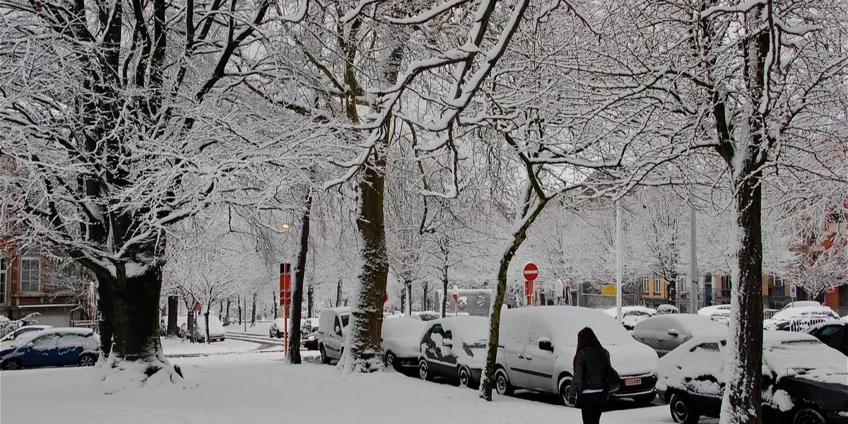 Cloudy Skies and Snow Chances Ahead Metro Detroit Weather Forecast for the Week