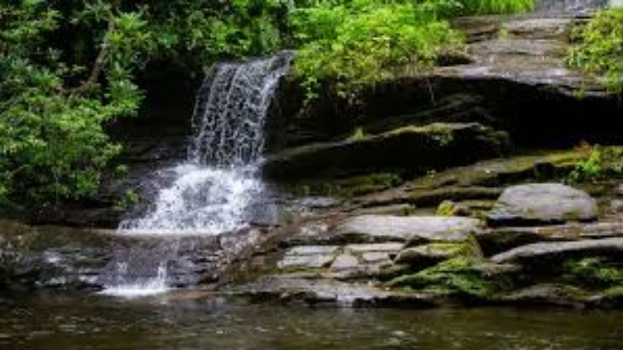 National Park Service Seeks Public Tips After Reported Assault in Great Smoky Mountains