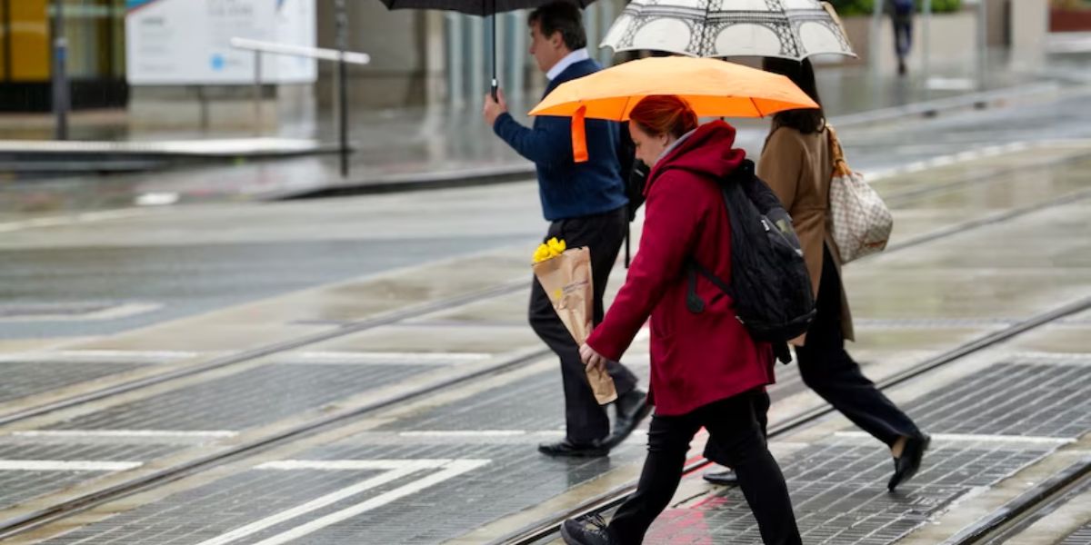 Unusual January Weather Brings Early-Week Warmth and Midweek Rain to Indianapolis