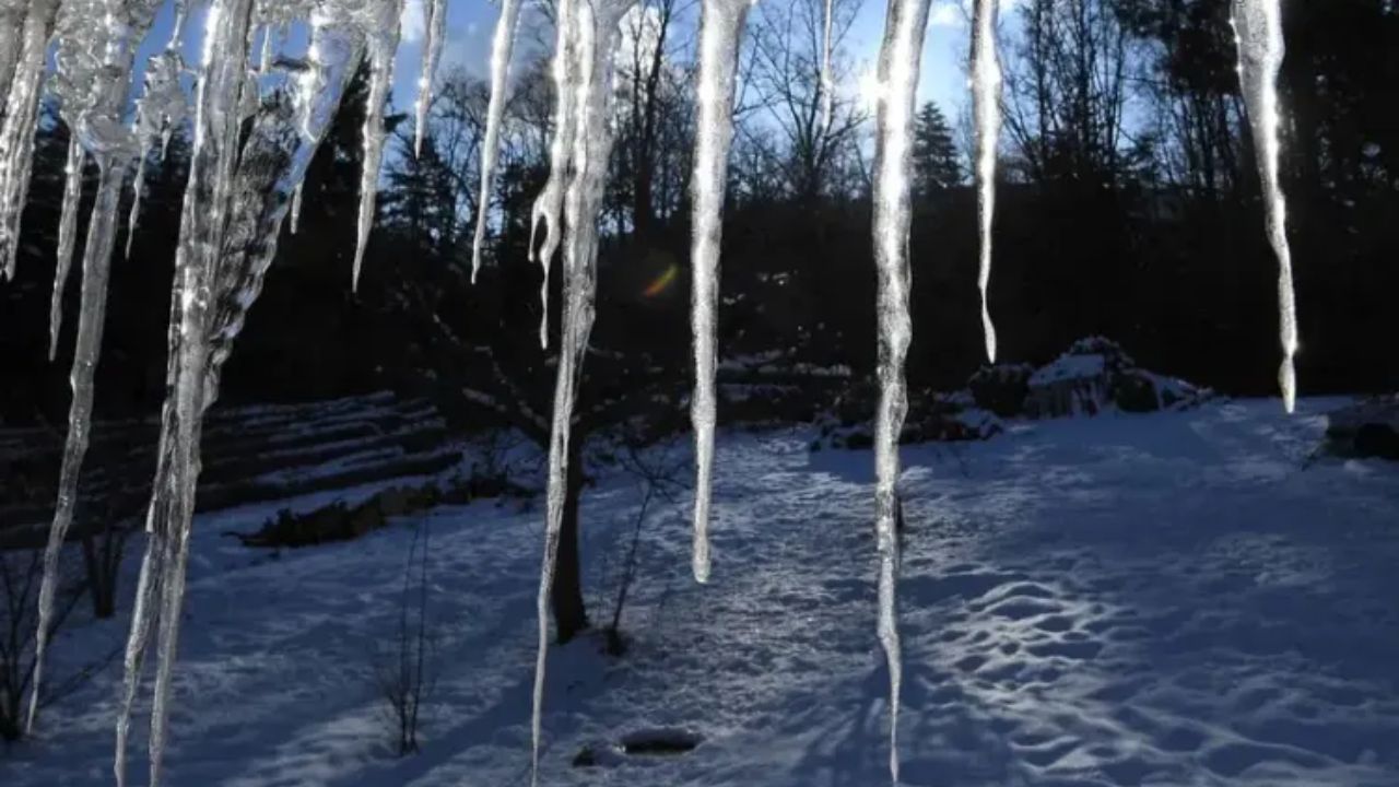 Winter Storm Fern Could Bring Snow, Ice, and Dangerous Travel Across the South This Weekend